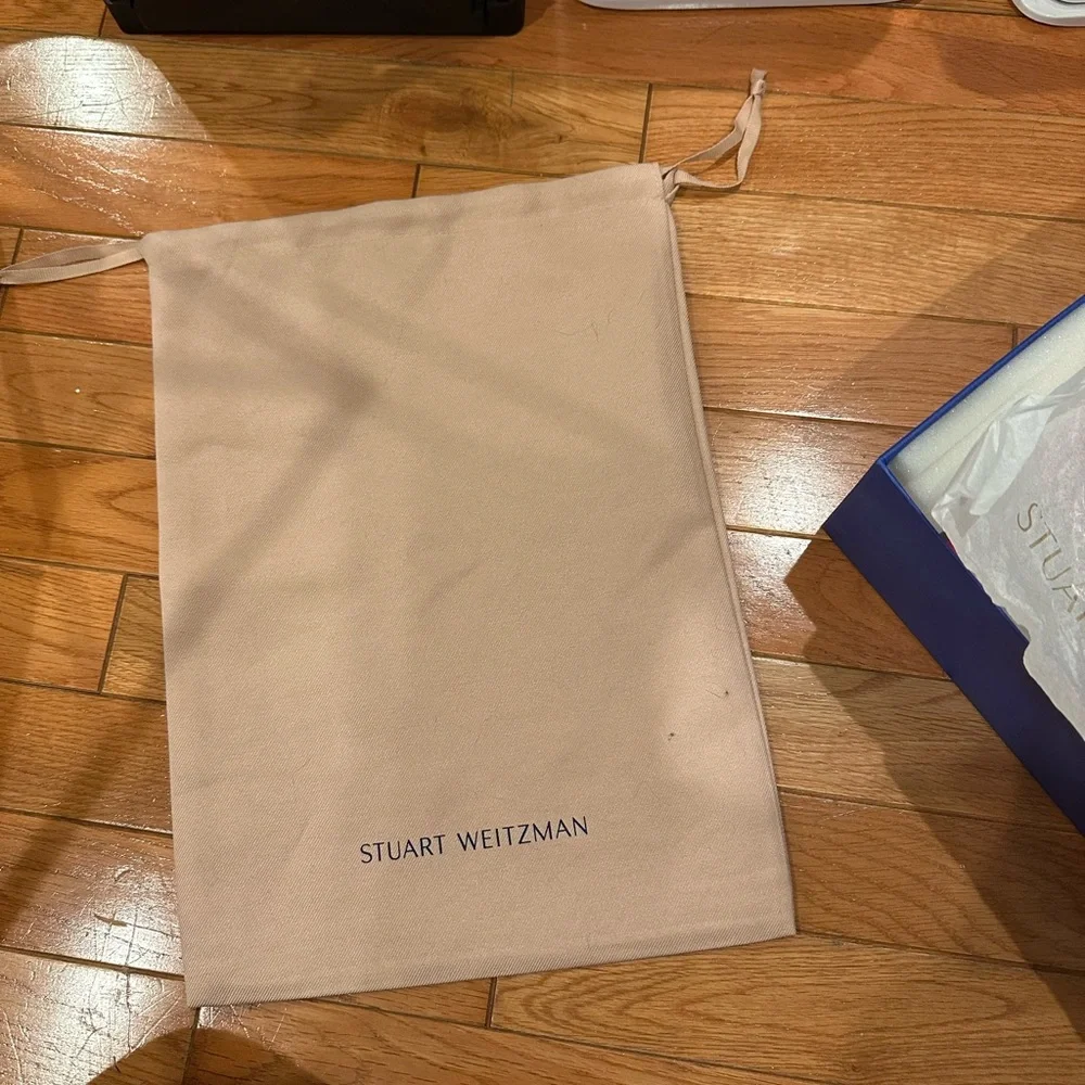 Stuart Weitzman Aleena 100 clear strap size 6.5